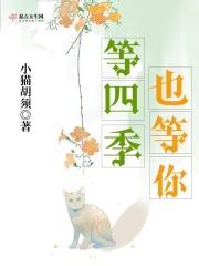 在四季里等待歌词是什么意思