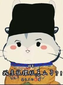 明末我崇祯摆烂怎么了
